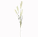 Pampas Grass - 36" - Paper Beige