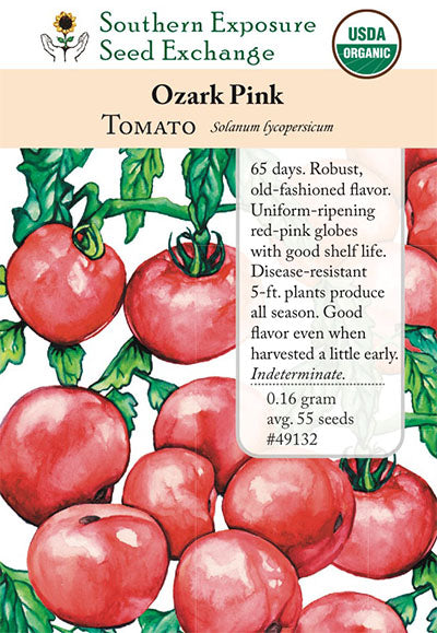 Ozark Pink VF Tomato Seeds