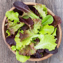 Gourmet Blend Lettuce Seeds