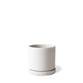 Dojo Pot and Saucer - 3.5 in