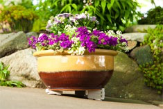 Plant Stand Pot Toes - 6 pack