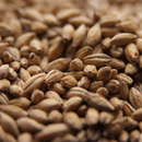 Maris Otter Malt