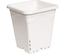 White Plastic Square Pots