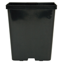 Deep Square Plastic Pot- 5.5 in