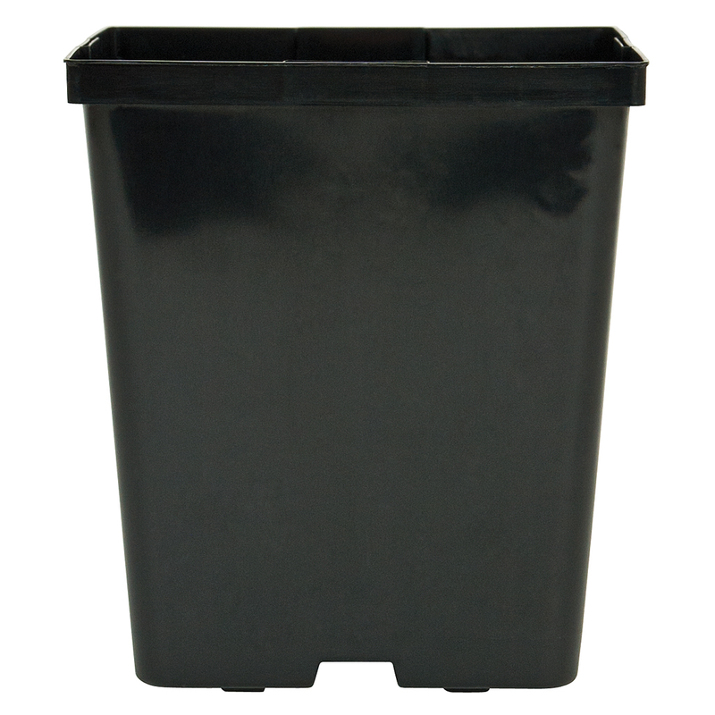 deep square plastic plant pots Deep Square Plastic Pot- 5.5 in