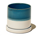 Mofo Minute Pot with Saucer - 7 in