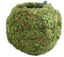 SuperMoss Kokedama Green Moss Ball Planter - Assorted Colors
