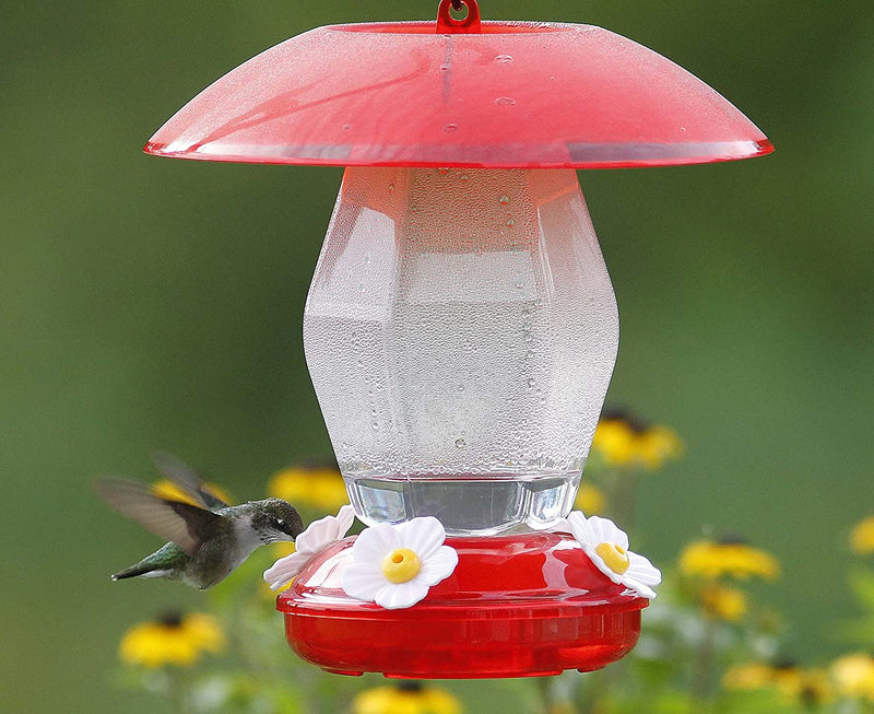 More Birds® Jubilee Hummingbird Feeder with Ant Moat - 20 oz