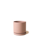 Dojo Pot and Saucer - 3.5 in