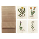 The Bower Studio Medicinal Plants Greeting Card Set