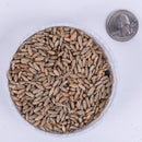 Organic Winter Rye Cover Crop