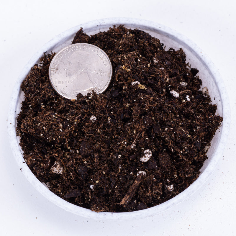 Fifth Season Organic Potting Soil Mini-Bag - 16 oz