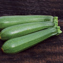 Dark Green Zucchini Seeds