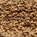 Briess Caramel 20L Malt