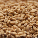 Canada Malt White Wheat Malt
