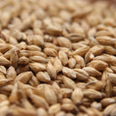 Bestmalz German Pilsner Malt