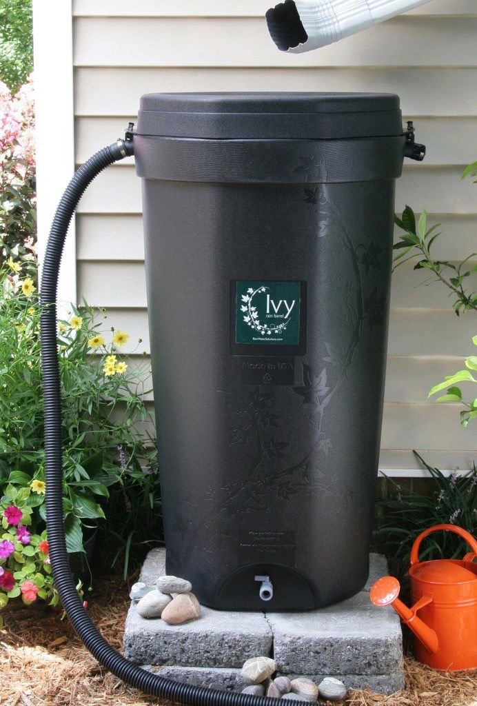 Black Ivy Rain Barrel - 50 Gallon