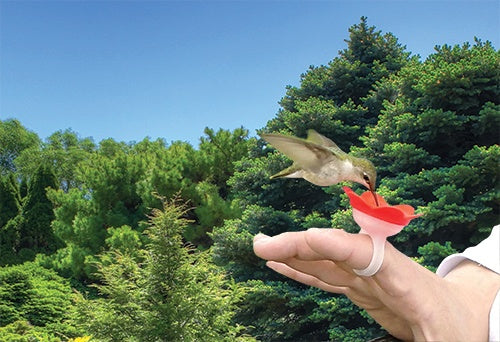 Hummer Ring Hummingbird Hand Feeder Red