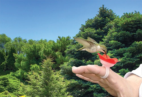 Hummer Ring Hummingbird Hand Feeder - Red