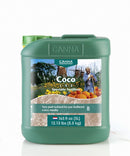 Canna Coco B