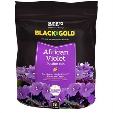Black Gold African Violet Mix - 8 qt