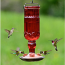 Round Antique Bottle Hummingbird Feeder-Red-24 oz