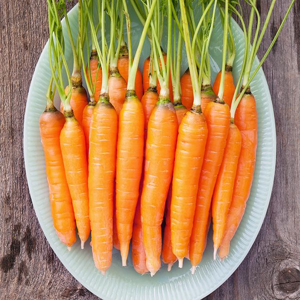 Scarlet Nantes Carrot Seeds