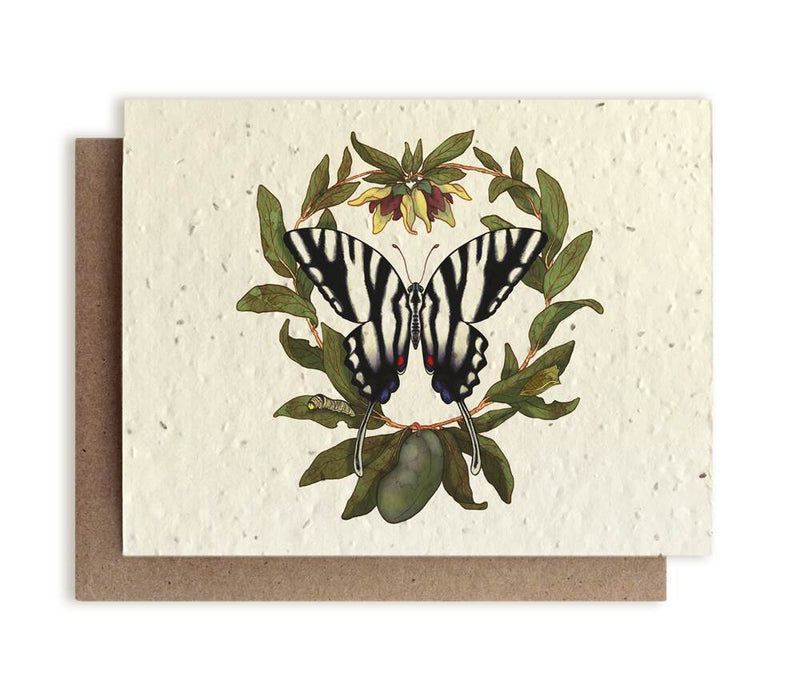 The Bower Studio Zebra Swallowtail Seeded Greeting Card