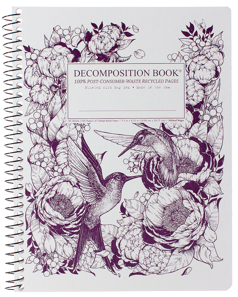 Hummingbirds Decomposition Book