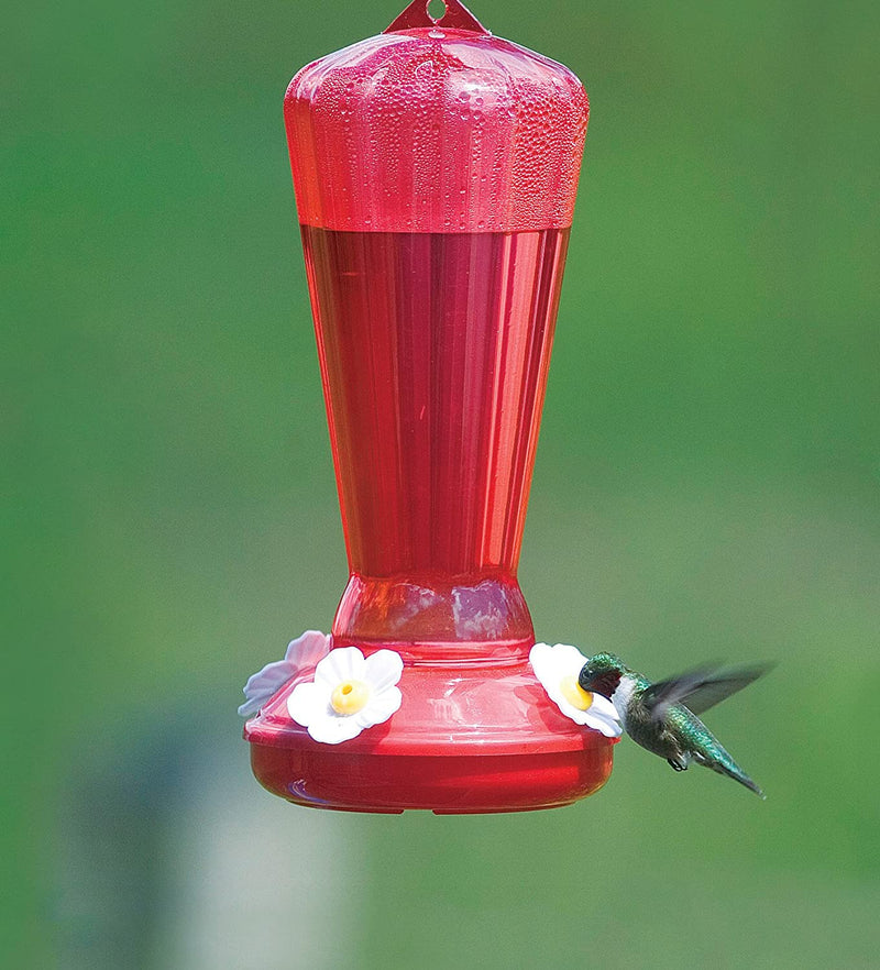 More Birds® Hollyhock Hummingbird Feeder - 25 oz