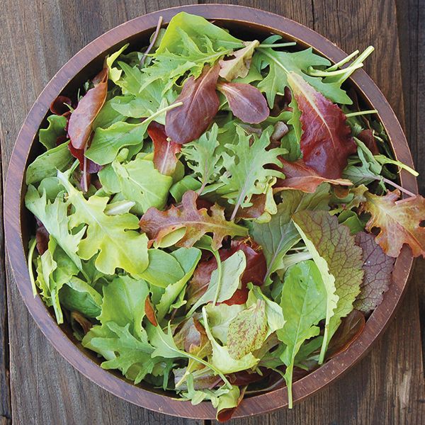 Lettuce: Mesclun Mix Seeds