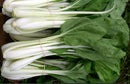 White Stemmed Pak Choi Seeds