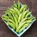 Cascadia Snap Pea Seeds
