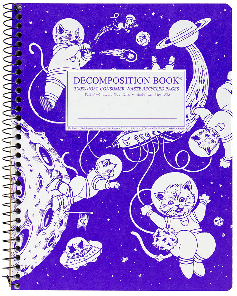 Kittens in Space Decomposition Book