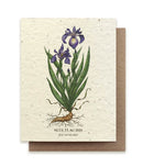 The Bower Studio Iris Seeded Greeting Card