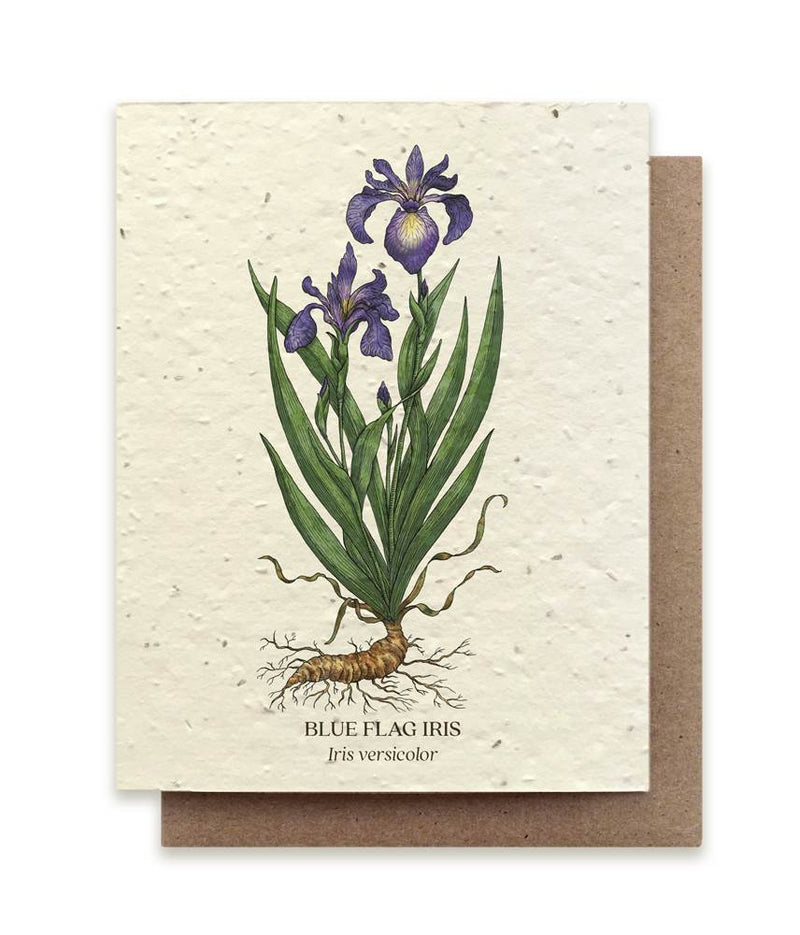 The Bower Studio Iris Seeded Greeting Card