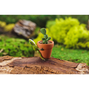 Mini Frog Hugging Cactus Pot