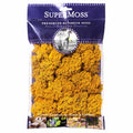 SuperMoss 2 oz Decorative Reindeer Moss - Assorted Colors