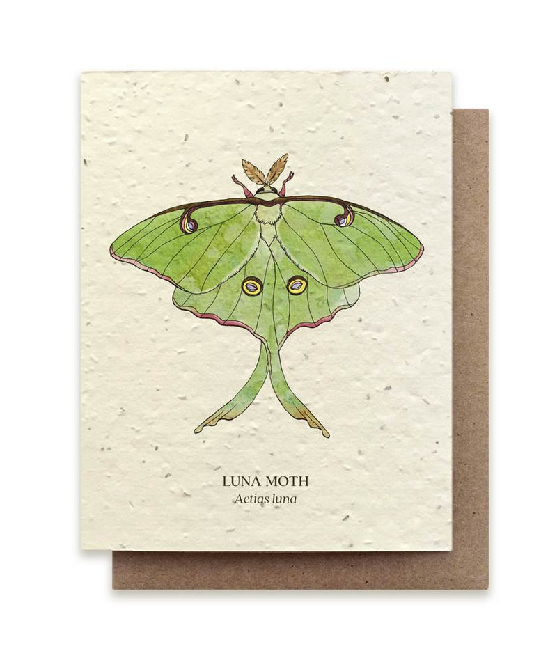 The Bower Studio Luna Moth Seeded Greeting Card