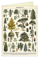 Cavallini Papers Arboretum Greeting Card
