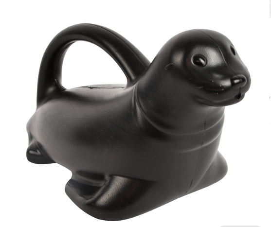 Sea Lion Watering Can
