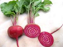 Chioggia Beet Seeds