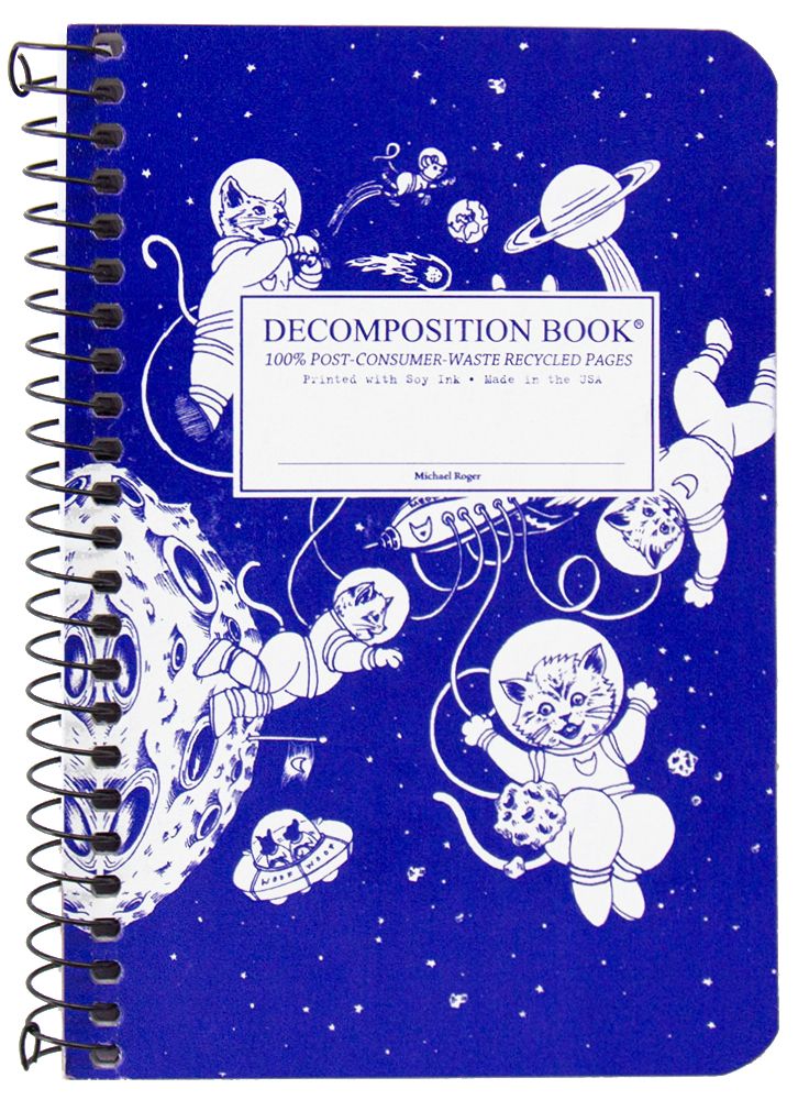 Kittens in Space Pocket Decomposition Book