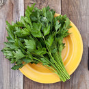 Italian Flat Leaf Parsley Seeds