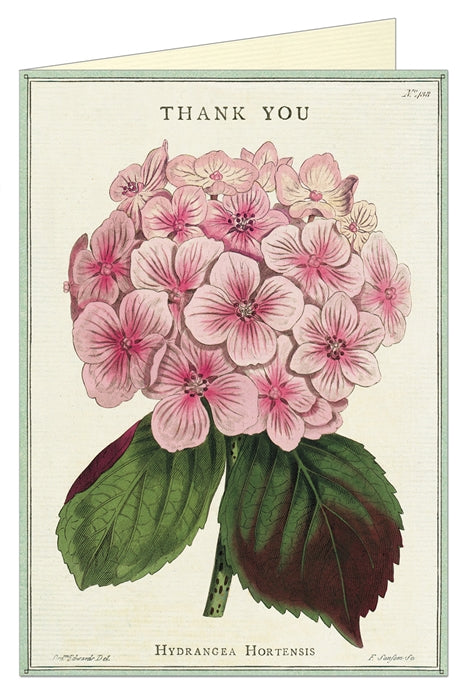 Cavallini Papers Thank You Fleur Greeting Card