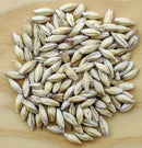 Murphy & Rude Munich 9