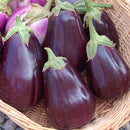 Black Beauty Eggplant Seeds