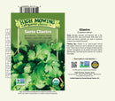 Santo Cilantro Seeds