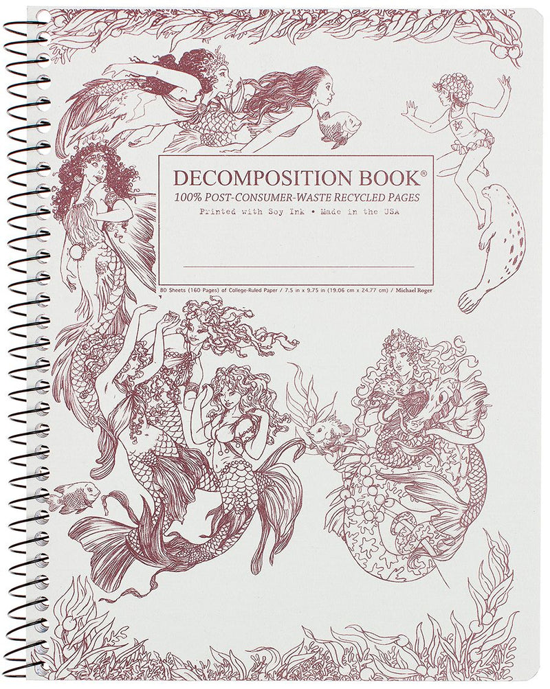Mermaids Pocket Decomposition Book