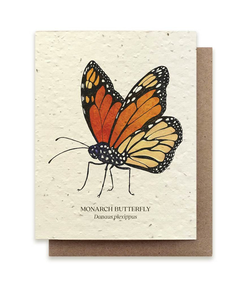 The Bower Studio Monarch Butterfly Seeded Greeting Card